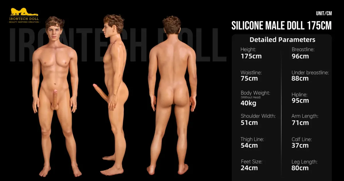 Measurement diagram of the Silicone Male Doll 175cm body