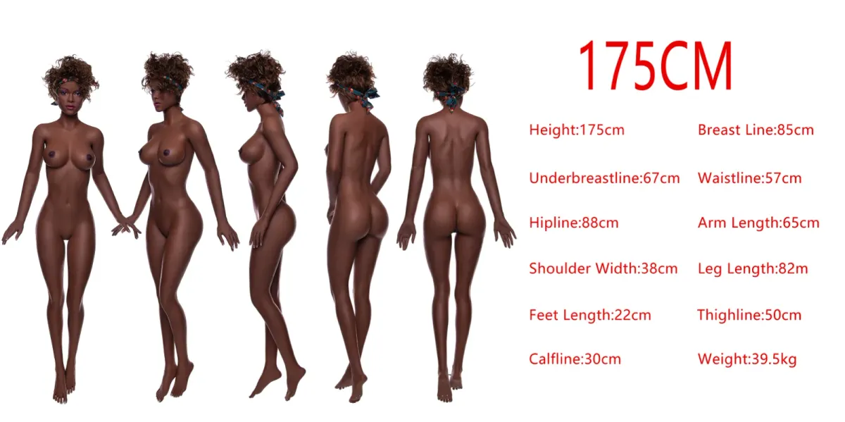 Measurement diagram of the TPE 175cm body
