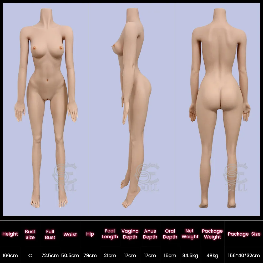 Measurement diagram of the 166cm C-cup body