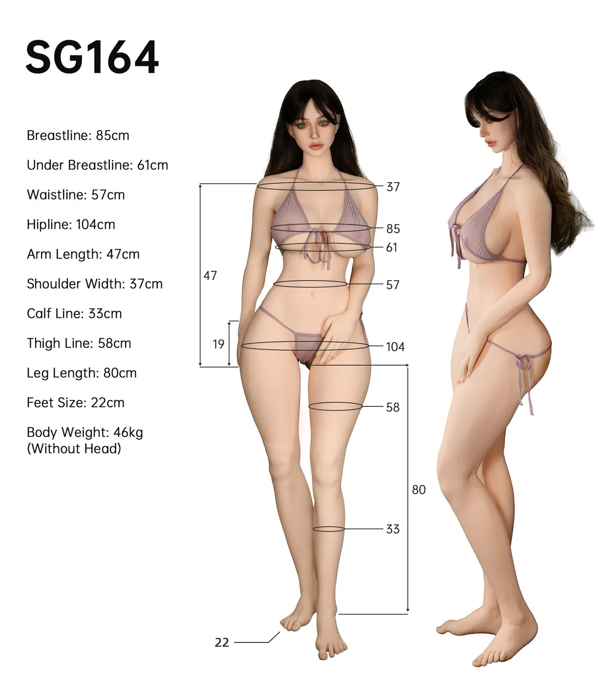 Measurement diagram of the SG164 164cm body