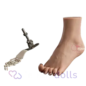 Articulated Toes